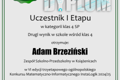 dyplom_instalogik_6_adam_brzezinski