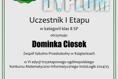 dyplom_instalogik_6_dominka_ciosek