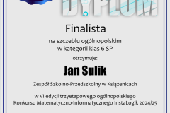 dyplom_instalogik_6_jan_sulik