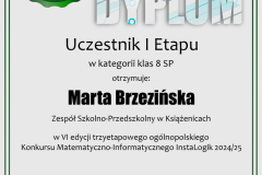 dyplom_instalogik_6_marta_brzezinska